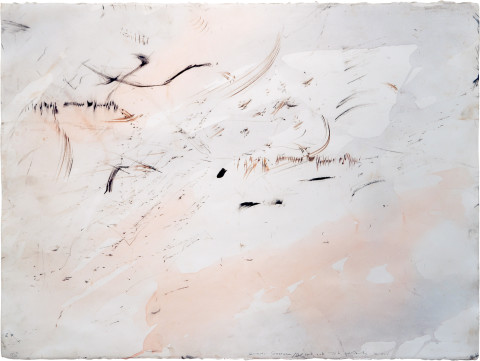John Wolseley Spinifex/Minni Ritchi/Budgerigar, 2005; watercolour, graphite, carbonised wood on paper; 66 x 85.5 cm; enquire