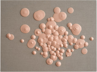 Patricia Piccinini Determined by relative motion, 2012; silicon, linen; 90 x 120 cm; enquire