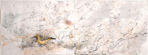 John Wolseley 4. Lake Tyrrell, Orange Chat - sun and sqall, 2007-08; found charcoal, graphite and watercolour on paper; 56 x 154 cm; enquire
