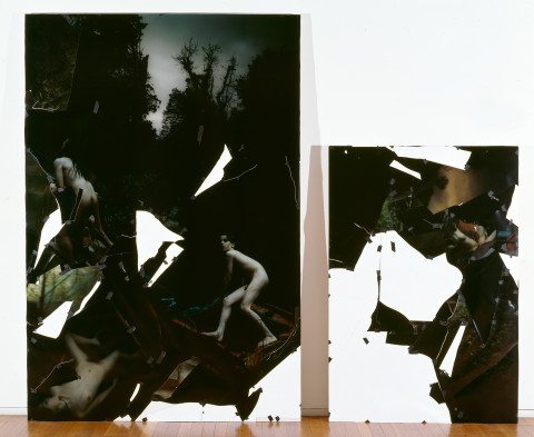 Bill Henson Untitled - diptych, 1996; Type c photographs, adhesive tape, pins, glassine; 275.1 x 185.7 cm; Part 2: 187 x 127.4; enquire
