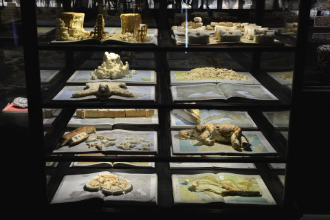 Fiona Hall Crust, 2015; bread and atlases; 28 atlases, installation dimensions variable; enquire