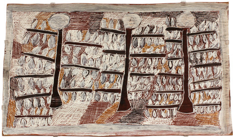 Nyapanyapa Yunupiŋu Larrani, 2009; 3520Z; natural earth pigments on bark; 90 x 53 cm; enquire