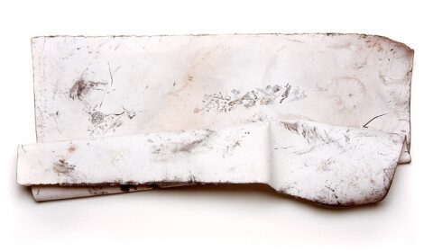 John Wolseley 60 Days windblown: 52 metres with Mallee Inventory, 2008; found charcoal, graphite and watercolour on paper; 34 x 76 cm; enquire