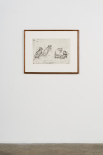installation view; John Wolseley Lustful Bettongs Returning to Watikinpirri - Newhaven I, 2024; etching; 40 x 60 cm; 70 x 88 cm (framed); Edition of 40; enquire