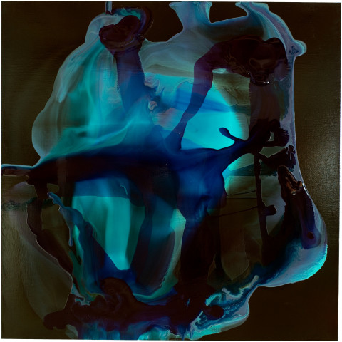 Dale Frank Phlomis Fruticosa Pennisetum Gresford Road Babbit, 2008; varnish on canvas; 200 x 200 cm; enquire