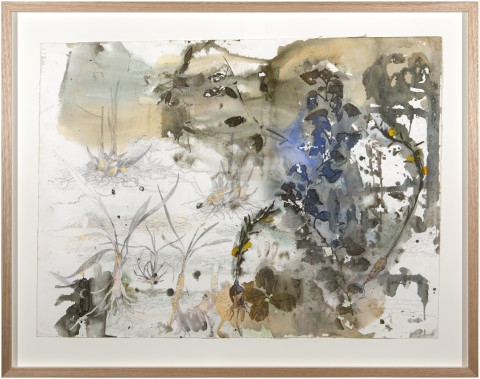 John Wolseley Ritharr and Dhunguruk, 2015; watercolour and graphite on paper; 93 x 118 cm; enquire