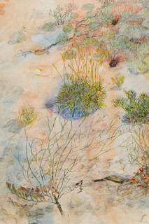 John Wolseley Yellow-throated miner sucking nectar from upside–down plants as Burrowing bettongs sleep the day away in their mazy warrens (detail), 2025; watercolour and graphite on paper; 116 x 152 cm; 134 x 168 cm (framed); enquire
