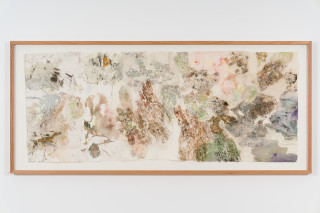 John Wolseley Mimesis - Leaf-tailed geckos on bark, moss and lichen I, 2025; watercolour, graphite, charcoal, frottage and nature prints on paper; 80 x 200 cm; 97 x 221 cm (framed); enquire