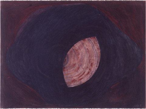 Fiona Foley Untitled II, 1998; charcoal, pastel and wax on paper; 56 x 76 cm; enquire