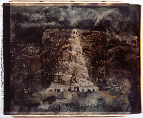 Fiona Hall Historia Non-Naturalis, 1991; polaroid photograph; 92 x 108 cm, framed; enquire