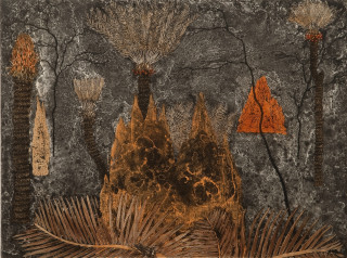 Fiona Hall Cycads - Ngathu, 2010; from the series Burning Bright; etching on Hahnemuhle cotton rag paper; 79.5 x 94 cm; Image size: 49 x 66cm; Edition of 41 + AP 5; enquire