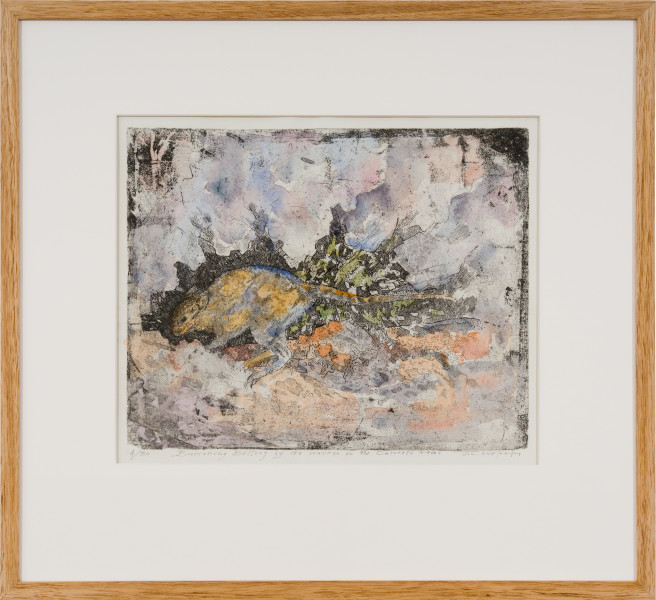 John Wolseley Burrowing Bettong by its Warren in the Calcrete Rocks, 2024; etching with watercolour; 32 x 40 cm; 59 x 64 cm (framed); Edition of 30; enquire
