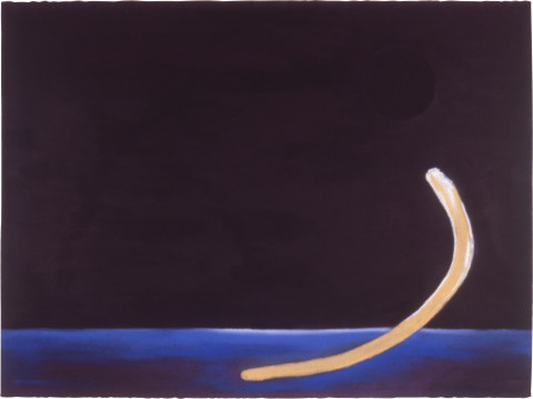 Fiona Foley Dugong 2, 1988; ink and pastel on paper; 56.5 x 76.5 cm; enquire