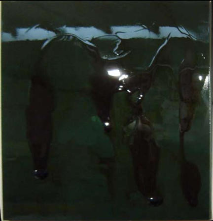 Dale Frank Viggo Mortensen, 2005; varnish on acrylic on canvas; 200 x 180 cm; enquire