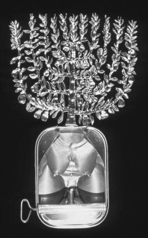 Fiona Hall Pyrus communis / Pear, 1989-90; from the series Paradisus Terrestris; aluminium & tin; 25 x 12 x 3 cm; enquire