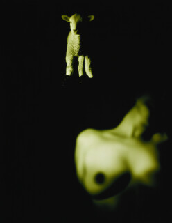 Tracey Moffatt Pet Thang #4, 1991; C-type print; 110 x 71 cm; Edition of 30 + AP 5; enquire