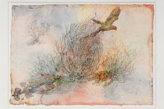 John Wolseley 'The other side of paradise' - Princess Parrot and the last Paradise Parrot, 2026; watercolour and graphite on paper; 70 x 100 cm; 95 x 125 cm (framed); enquire
