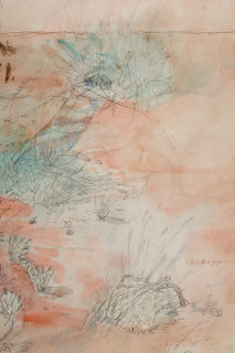 John Wolseley Great desert skink colony with map of basking mound, birthing pool and defecatorium (detail), 2025; watercolour, graphite, charcoal and ink on paper; 117 x 153 cm; 135 x 169 cm (framed); enquire