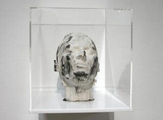 Julie Rrap Eraser Head 2, 2006; silicon rubber, silica flour and graphite mounted in Perspex box; sculpture: 21 x 15 x 25 cm; box: 30 x 30 x 40 cm; enquire