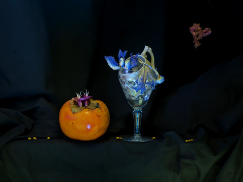 Fiona Pardington Colin's Flagon with Precarious Kowhai Flowers and a Pansy, McCahon, 2013; Pigment inks on Epson Hot Press Natural 320gsm; 82.5 x 110 cm; 3 edition sizes: 55 x 82.5 & 110 x 146cm; Edition of 10; enquire