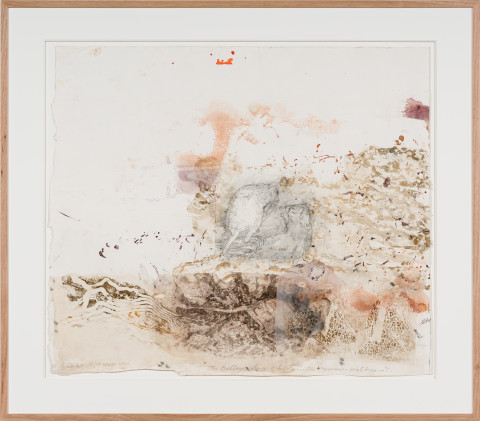John Wolseley Burrowing Bettongs  - Newhaven Wildlife Sanctuary, 2025-26; graphite, etching and woodblock prints on paper; 72 x 83 cm; 93 x 106 cm (framed); enquire