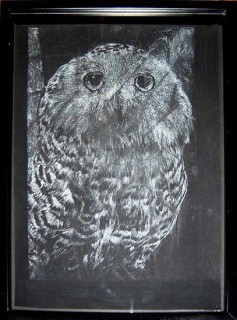 David Noonan Owl, 2003; gouache on paper; 40.5 x 30 cm; enquire