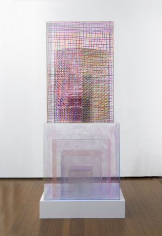 Teppei Kaneuji Model of Something #5, 2013; oil based marker on acrylic box; 210 x 90 x 90 cm; enquire