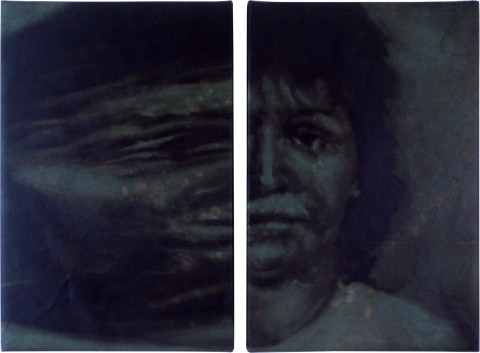 Merilyn Fairskye Green-Grey (Nurse Irene Leidolf, Vienna, 1988), 1991; acrylic, oil paint on canvas; diptych; 76 x 102 cm; enquire