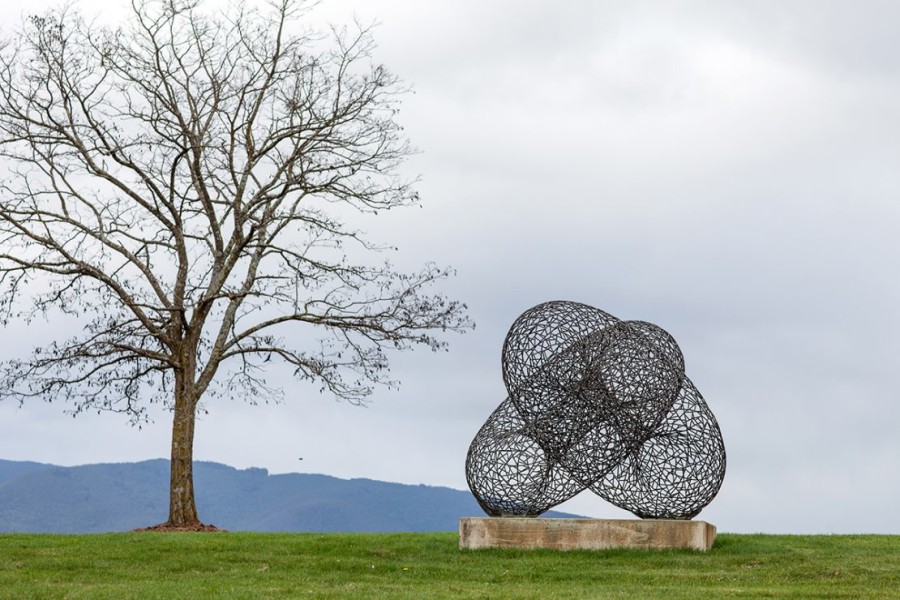 The Unfurling Triumph of Bronwyn Oliver's 'Tide'