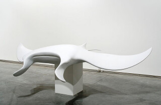 James Angus Manta Ray, 2003; fibreglass; 55 x 310 x 280 cm; Edition of 3 + AP 1; enquire