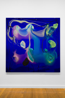 Dale Frank From previous encounters he had exhausted all possible reasons, every imaginable and amazingly unimaginable reasons as to why he could not have sex with John, 2026; colour powder pigments in Epoxyglass, Epoxyglass, on perspex; 200 x 200 cm; enquire