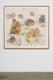 installation view; John Wolseley Walk across geological strata – Proterozoic to late Silurian: each step a million years II, 2025; watercolour, graphite, charcoal, frottage and nature prints on paper; 123 x 135 cm; 143 x 151 cm (framed); enquire