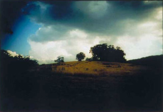 Bill Henson Untitled # 18, 1997-98; CL SH272 N23A; Type C photograph; 127 x 180 cm; (paper size) Image size: 104 x 154 cm; Edition of 5 + AP 2; enquire