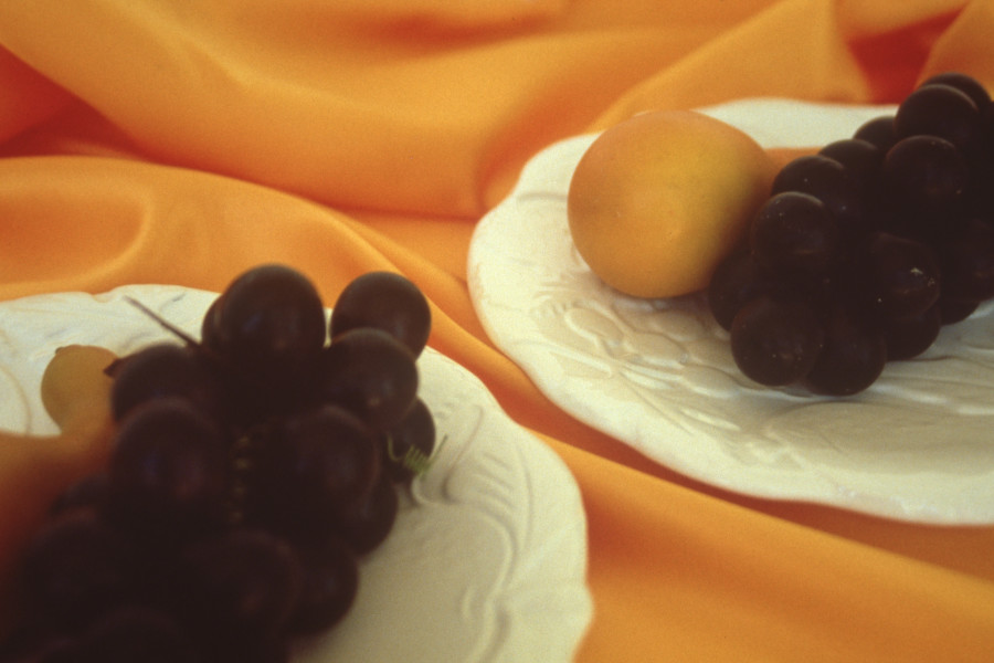 Carol Rudyard, WANTAI MAIDEN (maintain a dew), 1989; video installation, working drawing and stills; variable dimensions