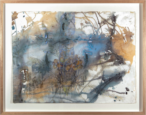 John Wolseley ᶇathu - Cycad, Le Cycas Englouti, 2015; watercolour on paper; 93 x 118 cm; enquire