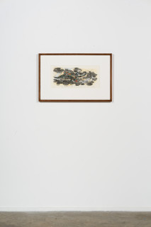 installation view; John Wolseley Great Desert Skinks III, 2026; woodcut and watercolour on Tengucho paper; 25 x 54 cm; 53 x 81 cm (framed); Edition of 20; enquire