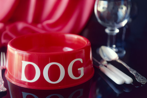 Carol Rudyard Visions of Xes, 1991; video installation; 12 minutes 45 seconds; enquire