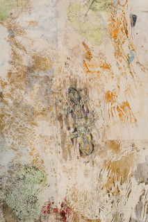 John Wolseley Mimesis - Leaf-tailed geckos on bark, moss and lichen II (detail), 2025; watercolour, graphite, nature prints and found woodblock prints on paper; 102 x 83 cm; 120 x 101 cm (framed); enquire