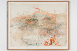 John Wolseley Great desert skink colony with map of basking mound, birthing pool and defecatorium, 2025; watercolour, graphite, charcoal and ink on paper; 117 x 153 cm; 135 x 169 cm (framed); enquire
