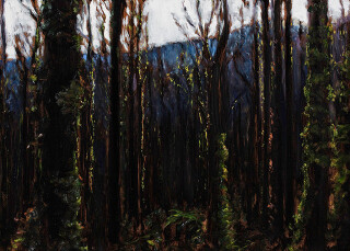 Louise Hearman Untitled #1295, 2009; oil on masonite; 66 x 91.5 cm; enquire