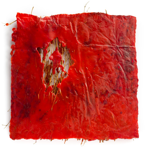 Kirtika Kain rupture, 2019; birch broom twigs, sindoor powder, wax; 50 x 52 cm; enquire
