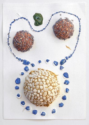 Rohan Wealleans Full Head, 2006; from the series Exhibited in 'Stolen Ritual', 2006; paint on paper; 41 x 28cm (paper), 56 x 43 x 8cm (frame); enquire
