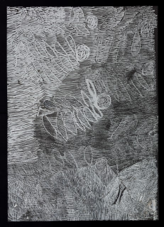 Nyapanyapa Yunupiŋu untitled, 2018; 5472-18; paint pen on clear acetate; 84 x 60 cm; enquire