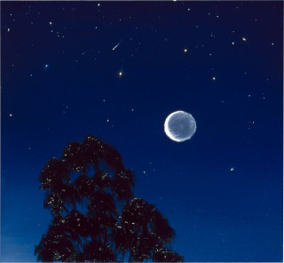 Louise Hearman Untitled #  1015, 2002; oil on masonite; 25 x 28 cm; enquire