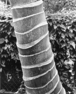 Simryn Gill #4, 1996-98; Silver gelatin photograph; 120 x 95 cm; Set of 16 images, edition of 15; Edition of 15; enquire