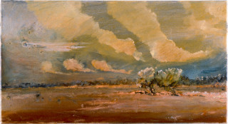 Mandy Martin After a Little Rain in 7 Mile, 29 January, 1997; oil, ochre, pigment on linen; 56 x 30 cm; enquire