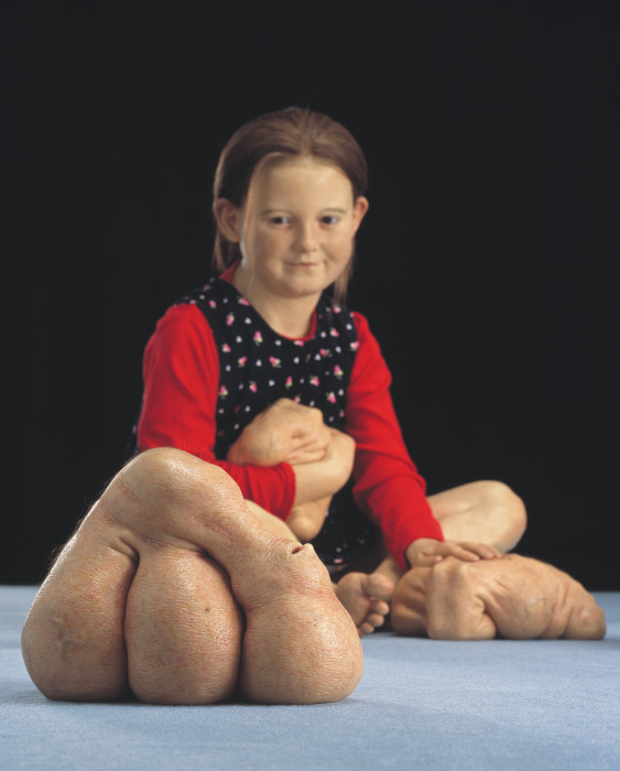 Patricia Piccinini We Are Family, 2003 Patricia Piccinini We Are Family, 2003