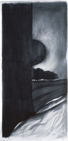 Richard Goodwin Gateway for Doll Protagonist, 1985; cotton rag paper and graphite; 120 x 270 cm; enquire