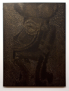 Daniel Boyd Untitled, 2012; oil and archival glue on canvas; 102 x 76.5 cm; enquire
