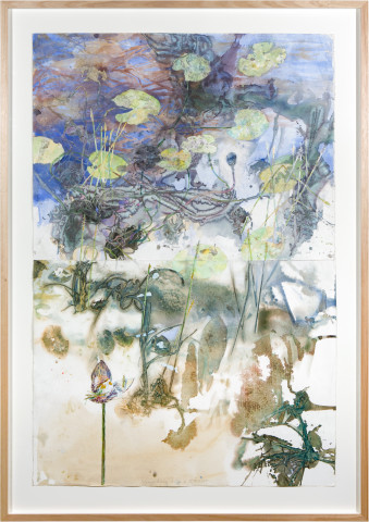 John Wolseley Nymphaea Lilies and Rakay, 2015; watercolour and graphite on paper; 172 x 121 cm; enquire